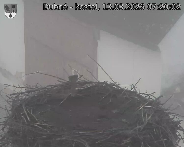 Capi_Dubne_20260313_072002.jpg (1350&nbsp;x&nbsp;1080)