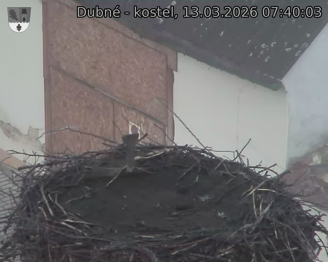 Capi_Dubne_20260313_074003.jpg (1350&nbsp;x&nbsp;1080)