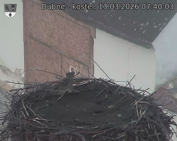 Capi_Dubne_20260313_074003.jpg (1350&nbsp;x&nbsp;1080)