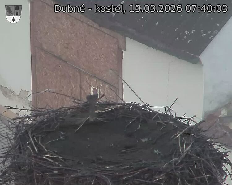 Capi_Dubne_20260313_074003.jpg (1350&nbsp;x&nbsp;1080)
