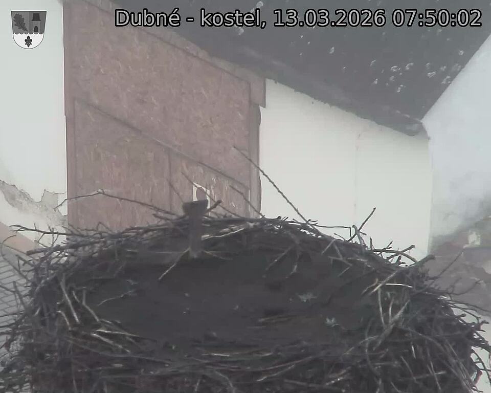 Capi_Dubne_20260313_075002.jpg (1350&nbsp;x&nbsp;1080)