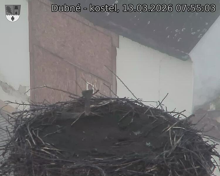 Capi_Dubne_20260313_075503.jpg (1350&nbsp;x&nbsp;1080)