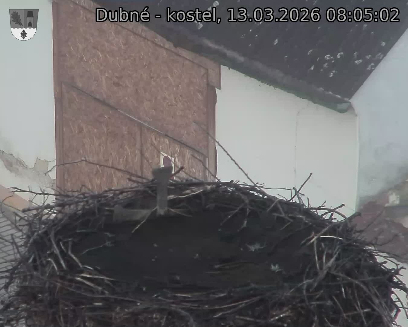 Capi_Dubne_20260313_080502.jpg (1350&nbsp;x&nbsp;1080)