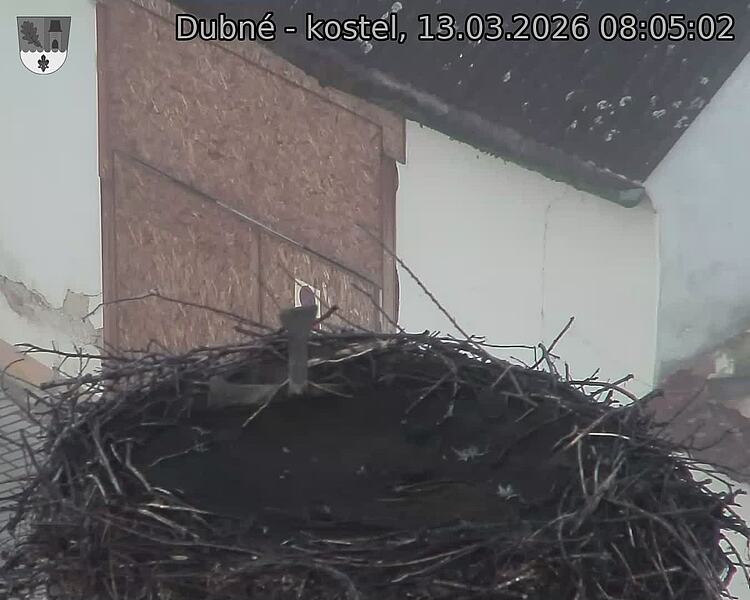 Capi_Dubne_20260313_080502.jpg (1350&nbsp;x&nbsp;1080)