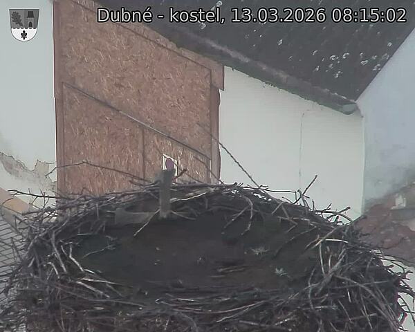 Capi_Dubne_20260313_081502.jpg (1350&nbsp;x&nbsp;1080)