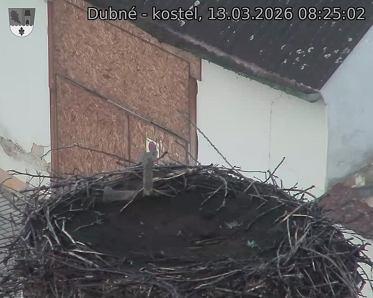 Capi_Dubne_20260313_082502.jpg (1350&nbsp;x&nbsp;1080)