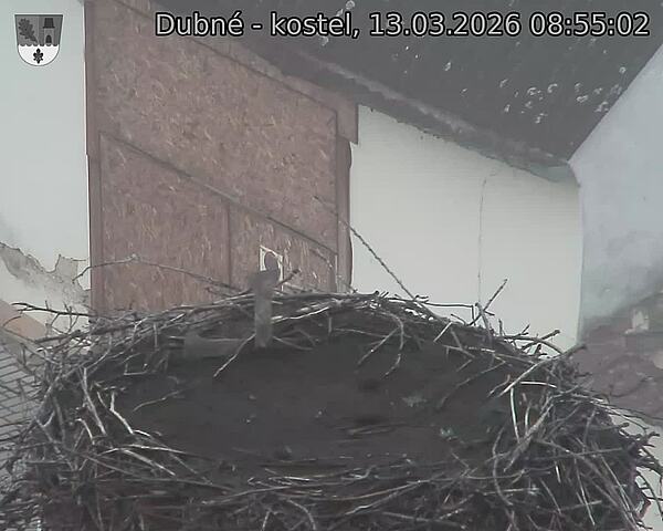 Capi_Dubne_20260313_085502.jpg (1350&nbsp;x&nbsp;1080)