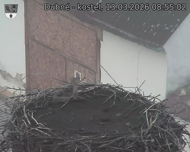 Capi_Dubne_20260313_085502.jpg (1350&nbsp;x&nbsp;1080)
