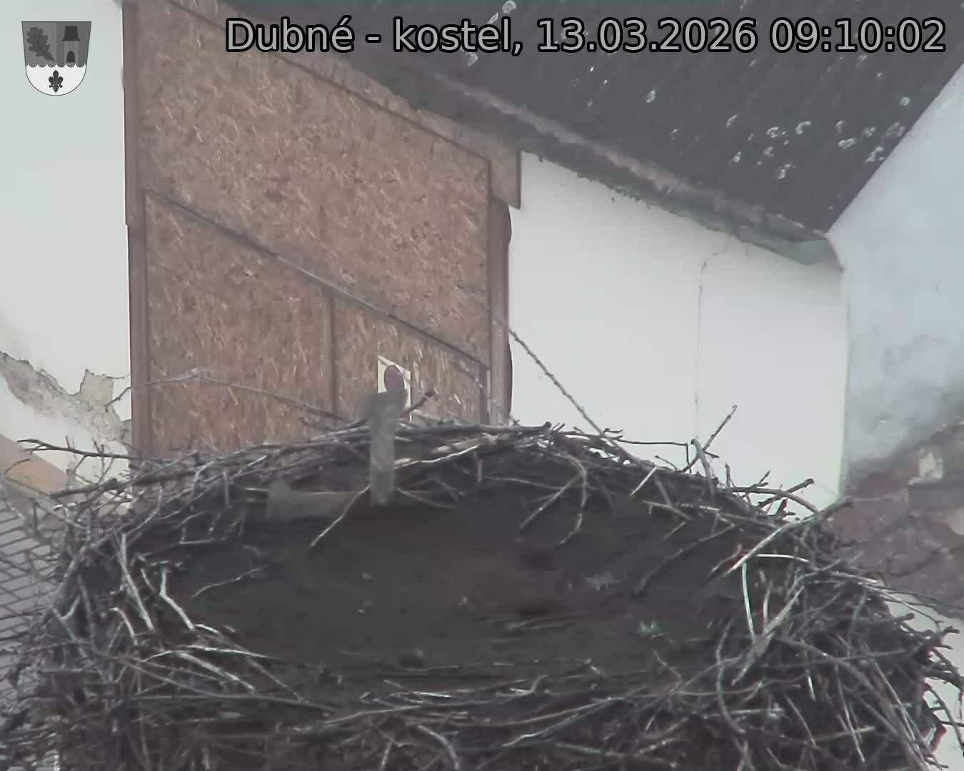 Capi_Dubne_20260313_091002.jpg (1350&nbsp;x&nbsp;1080)