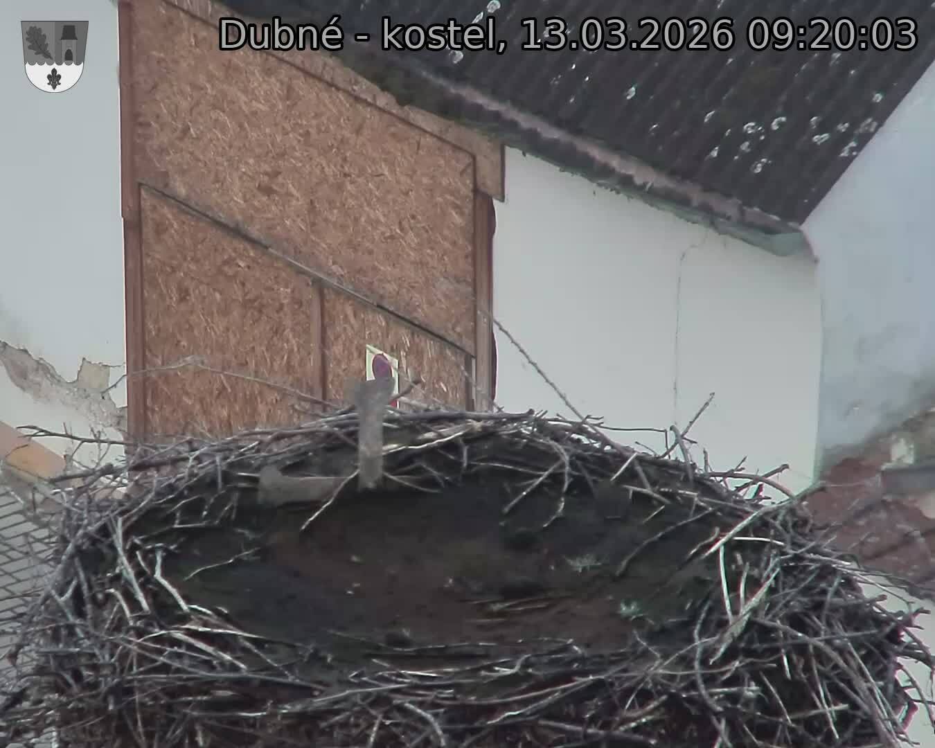 Capi_Dubne_20260313_092003.jpg (1350&nbsp;x&nbsp;1080)