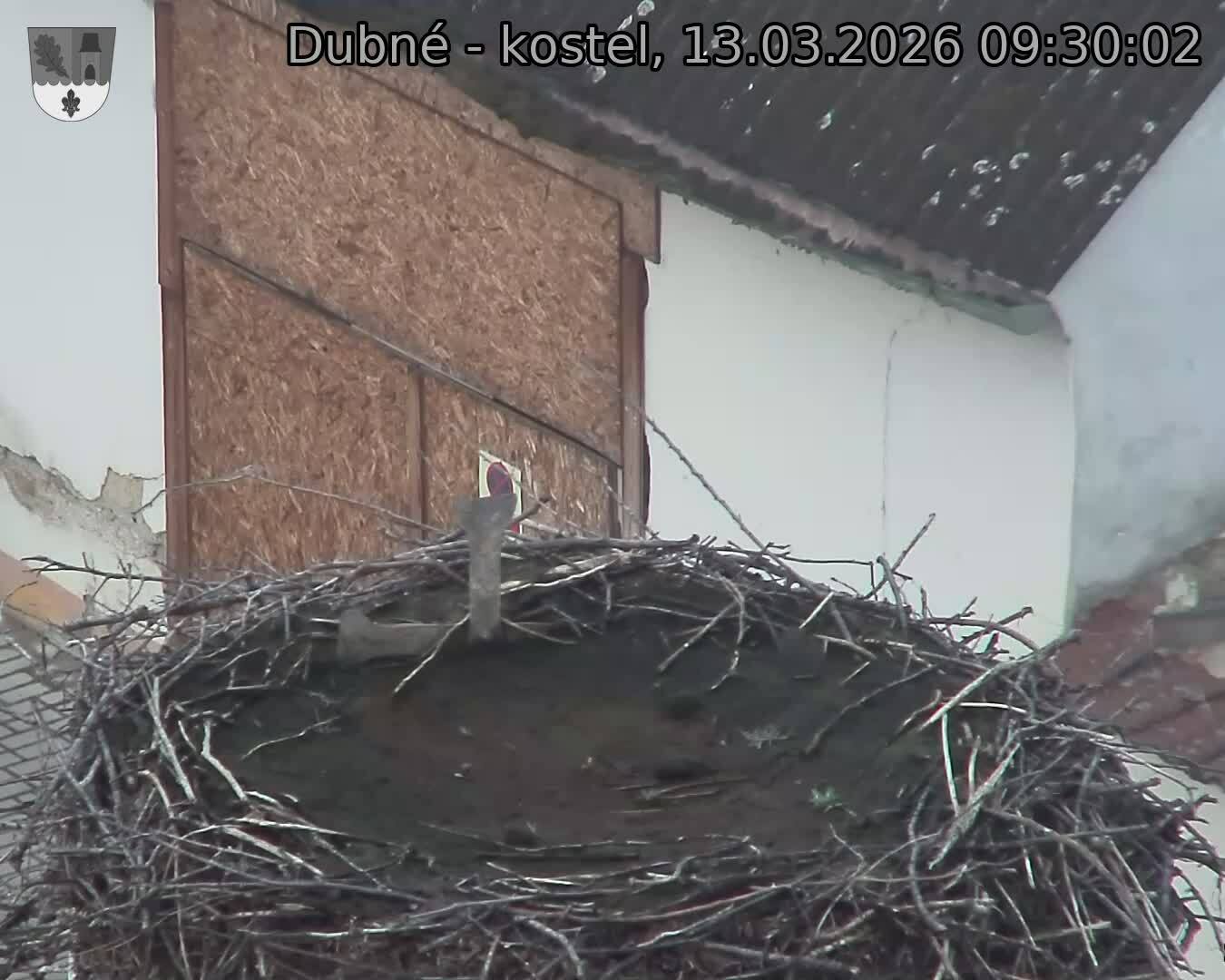 Capi_Dubne_20260313_093002.jpg (1350&nbsp;x&nbsp;1080)