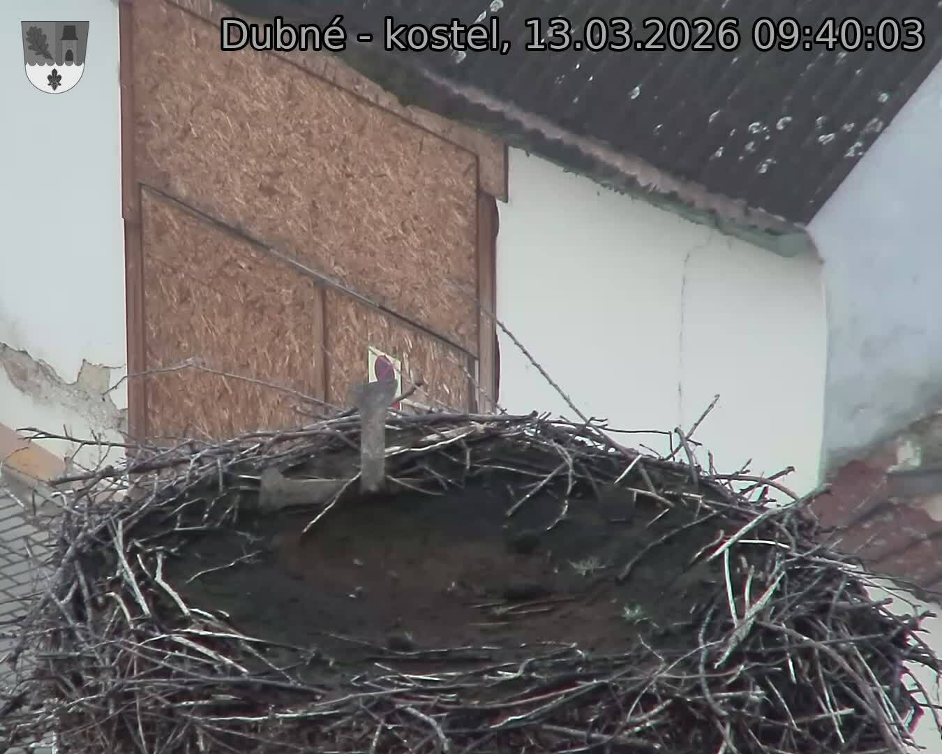Capi_Dubne_20260313_094003.jpg (1350&nbsp;x&nbsp;1080)