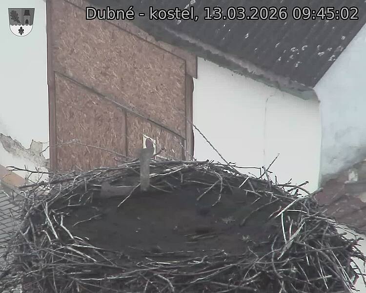 Capi_Dubne_20260313_094502.jpg (1350&nbsp;x&nbsp;1080)