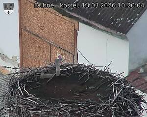 Capi_Dubne_20260313_102004.jpg (1350&nbsp;x&nbsp;1080)