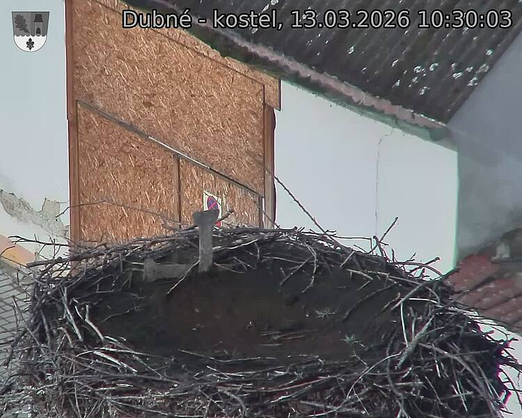 Capi_Dubne_20260313_103003.jpg (1350&nbsp;x&nbsp;1080)