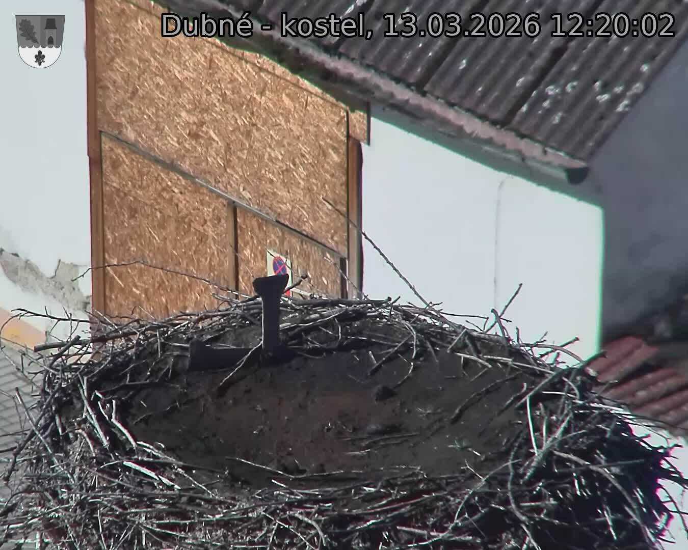 Capi_Dubne_20260313_122002.jpg (1350&nbsp;x&nbsp;1080)