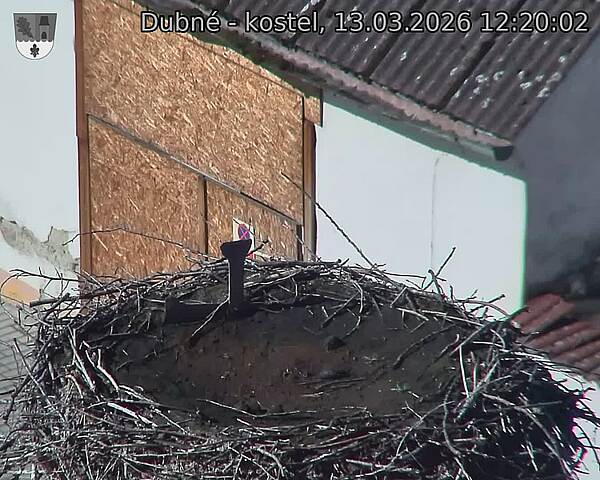 Capi_Dubne_20260313_122002.jpg (1350&nbsp;x&nbsp;1080)