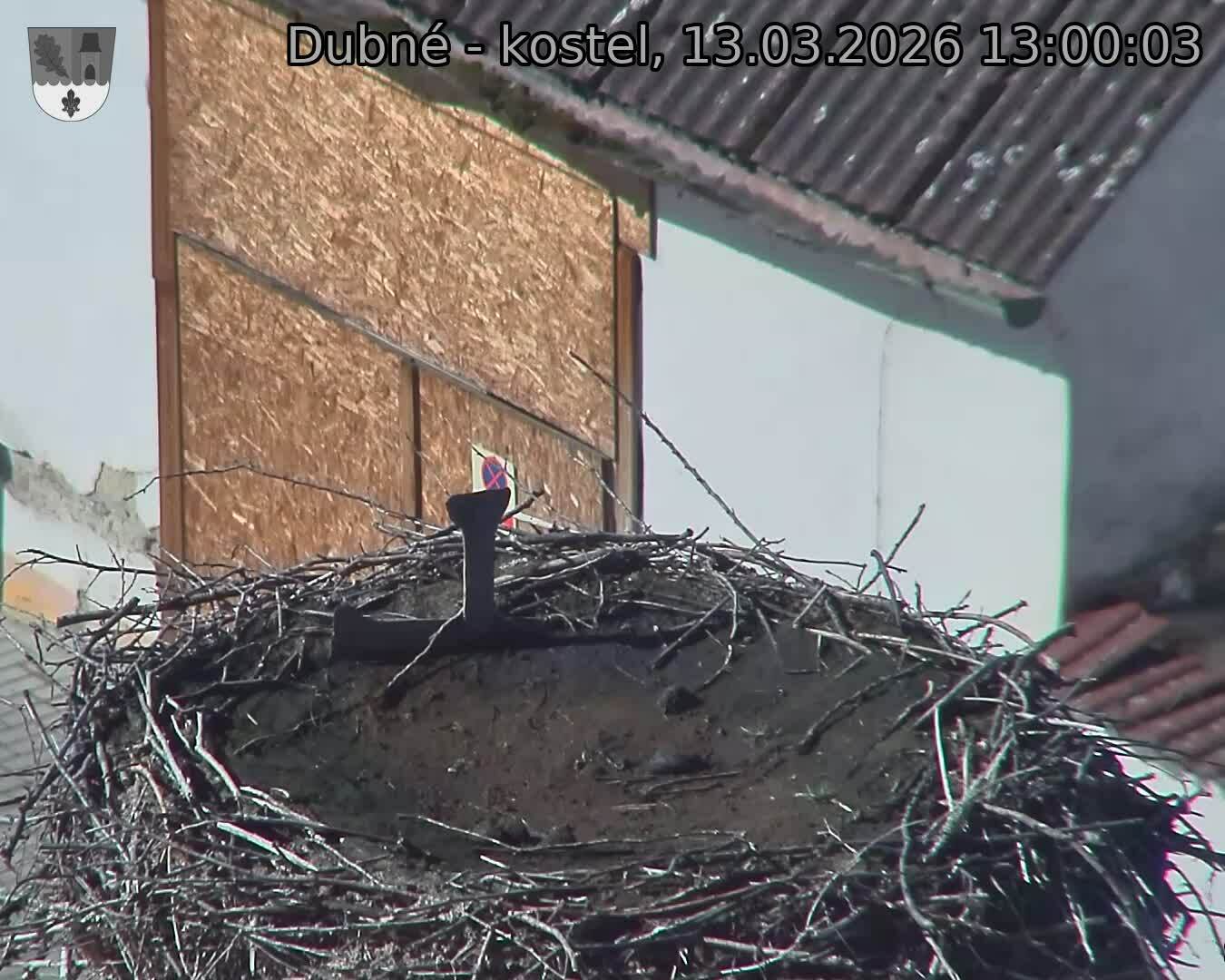 Capi_Dubne_20260313_130003.jpg (1350&nbsp;x&nbsp;1080)