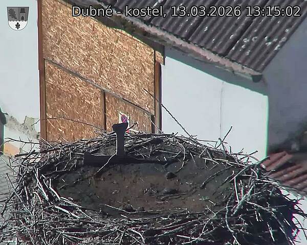 Capi_Dubne_20260313_131502.jpg (1350&nbsp;x&nbsp;1080)