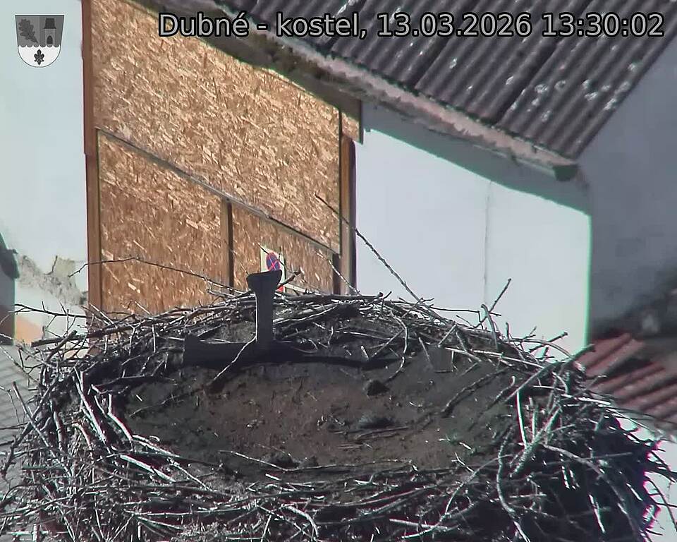 Capi_Dubne_20260313_133003.jpg (1350&nbsp;x&nbsp;1080)