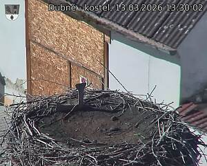 Capi_Dubne_20260313_133003.jpg (1350&nbsp;x&nbsp;1080)