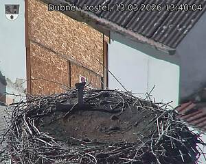 Capi_Dubne_20260313_134004.jpg (1350&nbsp;x&nbsp;1080)