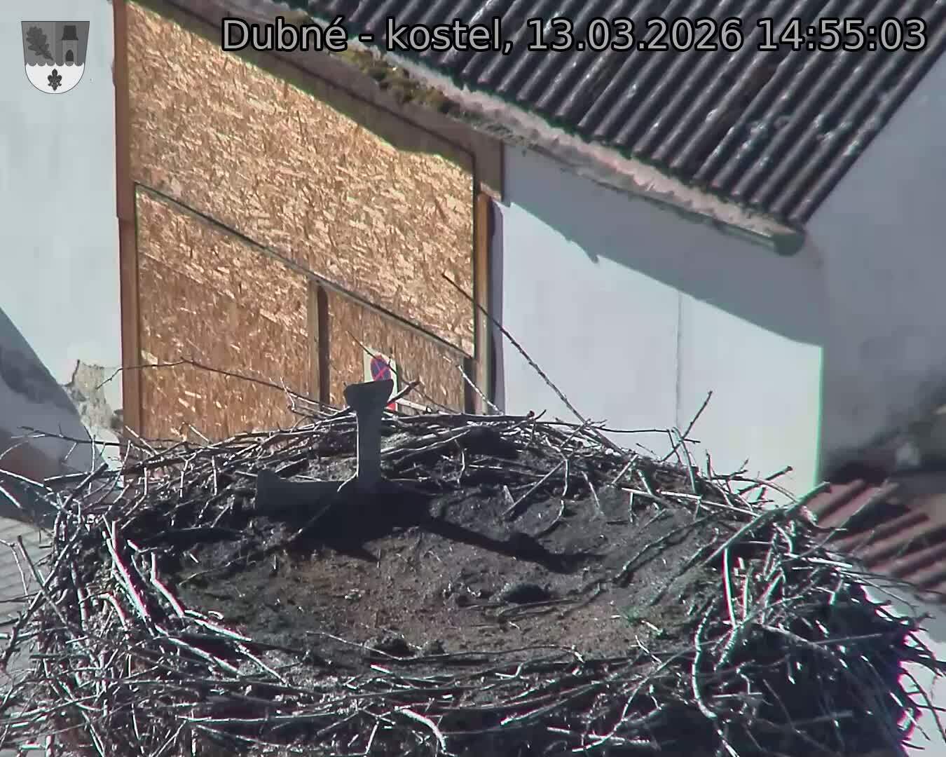 Capi_Dubne_20260313_145503.jpg (1350&nbsp;x&nbsp;1080)