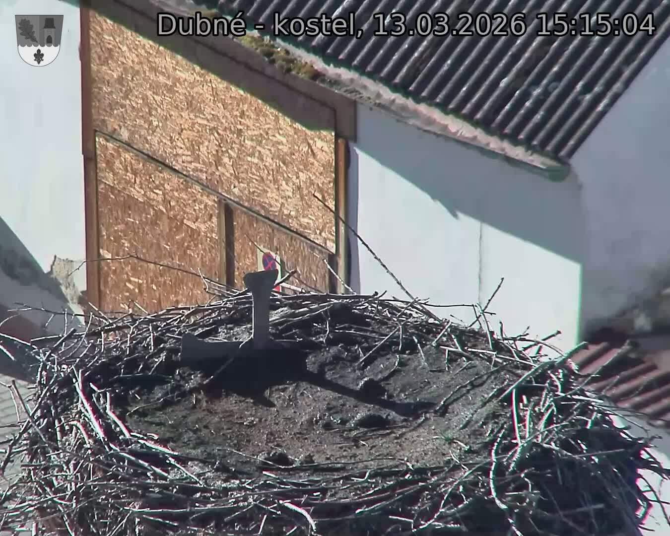 Capi_Dubne_20260313_151504.jpg (1350&nbsp;x&nbsp;1080)