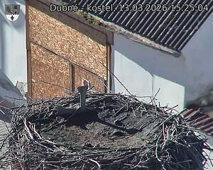 Capi_Dubne_20260313_152504.jpg (1350&nbsp;x&nbsp;1080)