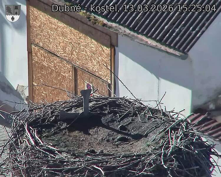 Capi_Dubne_20260313_152504.jpg (1350&nbsp;x&nbsp;1080)