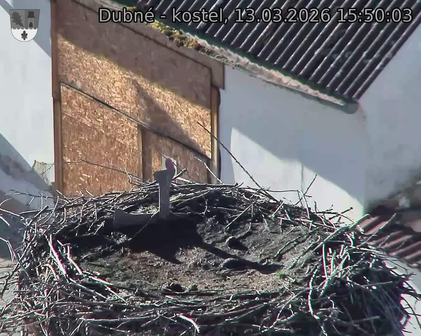 Capi_Dubne_20260313_155003.jpg (1350&nbsp;x&nbsp;1080)