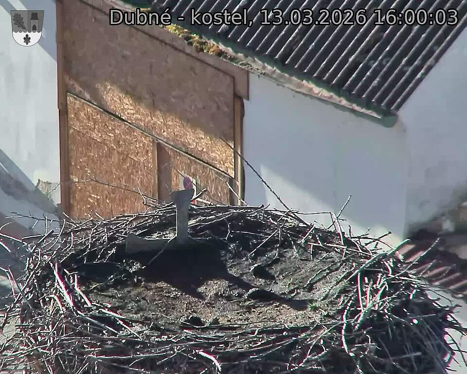 Capi_Dubne_20260313_160003.jpg (1350&nbsp;x&nbsp;1080)