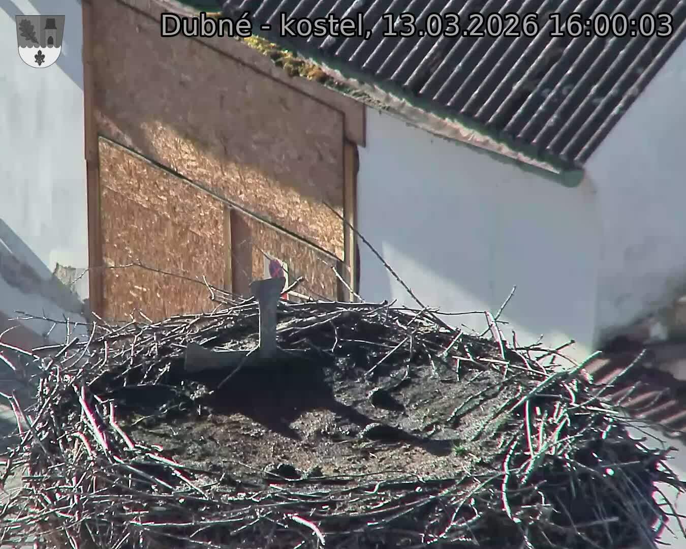 Capi_Dubne_20260313_160003.jpg (1350&nbsp;x&nbsp;1080)
