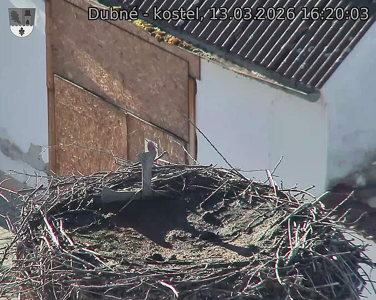 Capi_Dubne_20260313_162003.jpg (1350&nbsp;x&nbsp;1080)