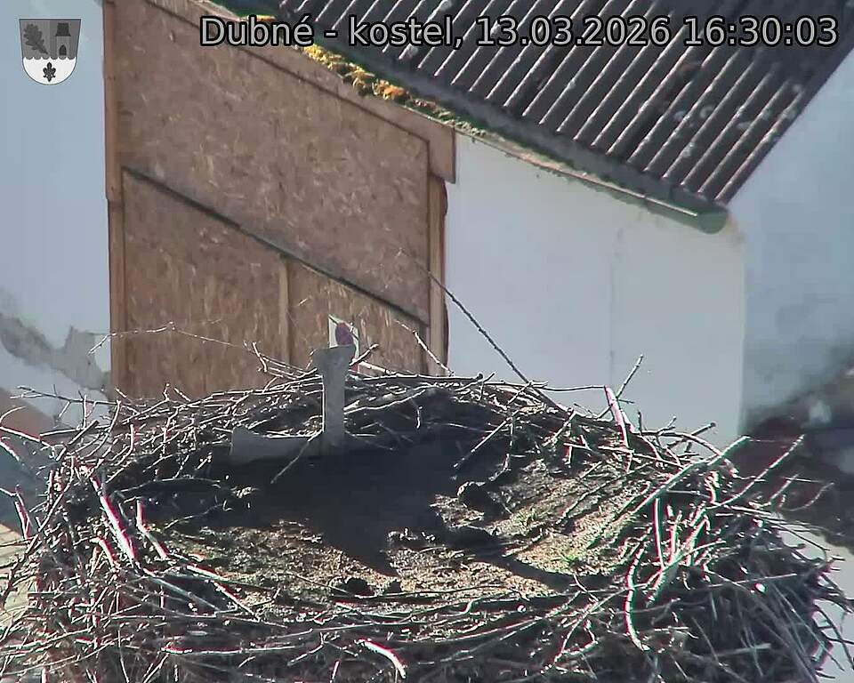 Capi_Dubne_20260313_163003.jpg (1350&nbsp;x&nbsp;1080)