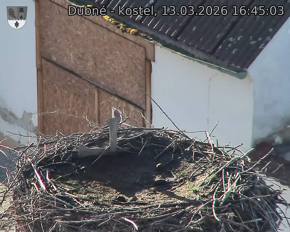 Capi_Dubne_20260313_164503.jpg (1350&nbsp;x&nbsp;1080)