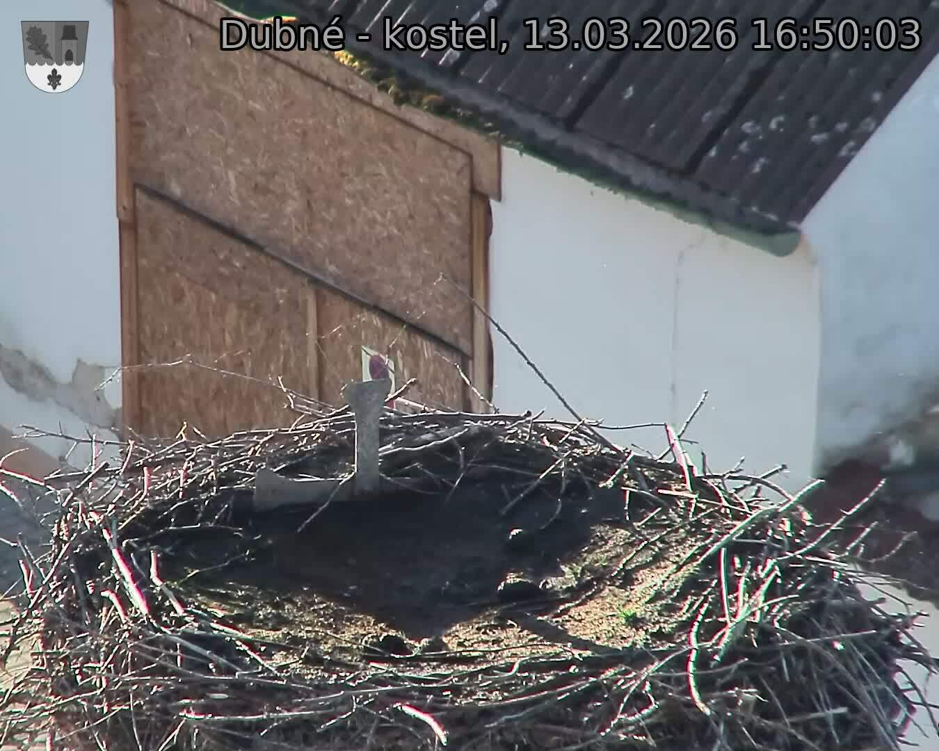 Capi_Dubne_20260313_165003.jpg (1350&nbsp;x&nbsp;1080)