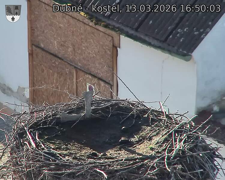 Capi_Dubne_20260313_165003.jpg (1350&nbsp;x&nbsp;1080)