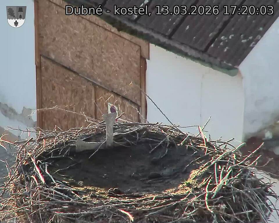 Capi_Dubne_20260313_172003.jpg (1350&nbsp;x&nbsp;1080)