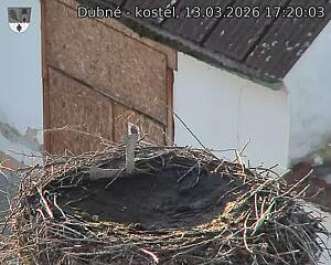 Capi_Dubne_20260313_172003.jpg (1350&nbsp;x&nbsp;1080)