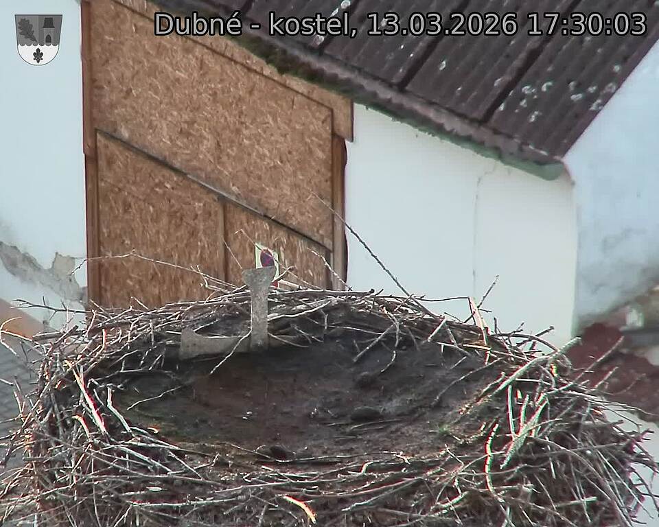 Capi_Dubne_20260313_173003.jpg (1350&nbsp;x&nbsp;1080)