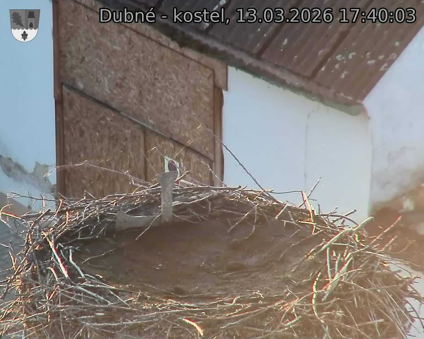 Capi_Dubne_20260313_174003.jpg (1350&nbsp;x&nbsp;1080)