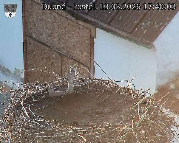 Capi_Dubne_20260313_174003.jpg (1350&nbsp;x&nbsp;1080)