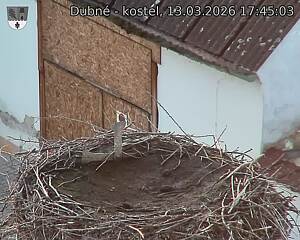 Capi_Dubne_20260313_174503.jpg (1350&nbsp;x&nbsp;1080)