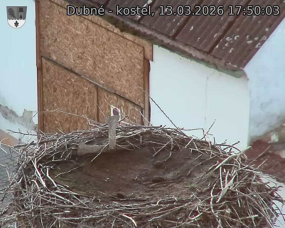 Capi_Dubne_20260313_175003.jpg (1350&nbsp;x&nbsp;1080)