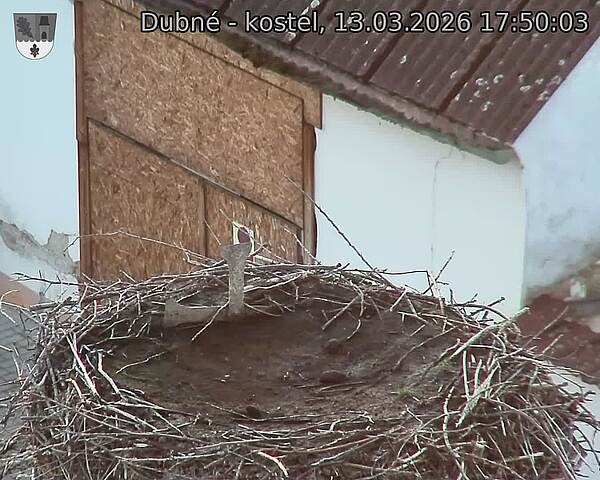Capi_Dubne_20260313_175003.jpg (1350&nbsp;x&nbsp;1080)