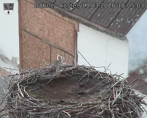 Capi_Dubne_20260313_180503.jpg (1350&nbsp;x&nbsp;1080)