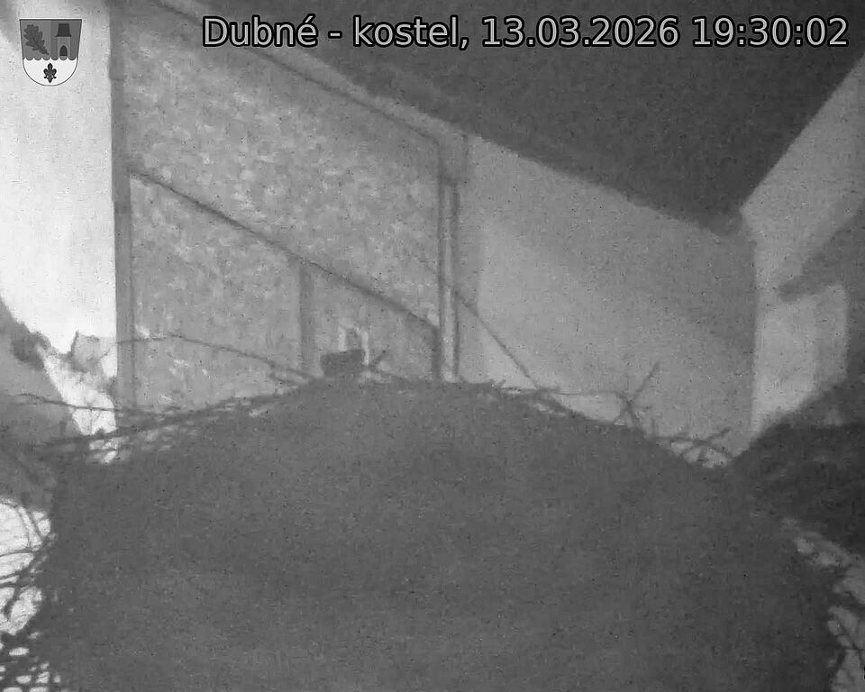 Capi_Dubne_20260313_193002.jpg (1350&nbsp;x&nbsp;1080)