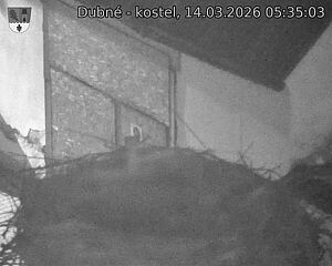 Capi_Dubne_20260314_053503.jpg (1350&nbsp;x&nbsp;1080)