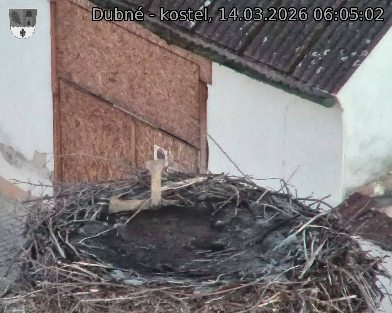 Capi_Dubne_20260314_060502.jpg (1350&nbsp;x&nbsp;1080)